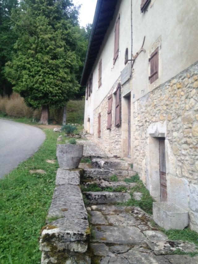 Xavier Bichat's birthplace, Thoirette by Paola Cosmacini (4).jpg